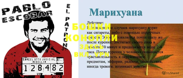 mdma Заводоуковск
